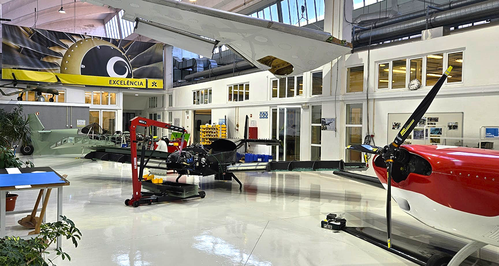 Parceria entre BlueBiz e IEFP em formação e competitividade empresarial